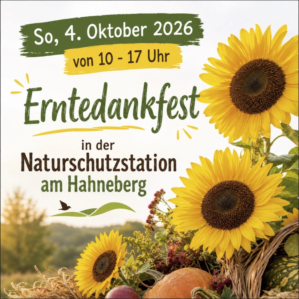 Erntedankfest 2026